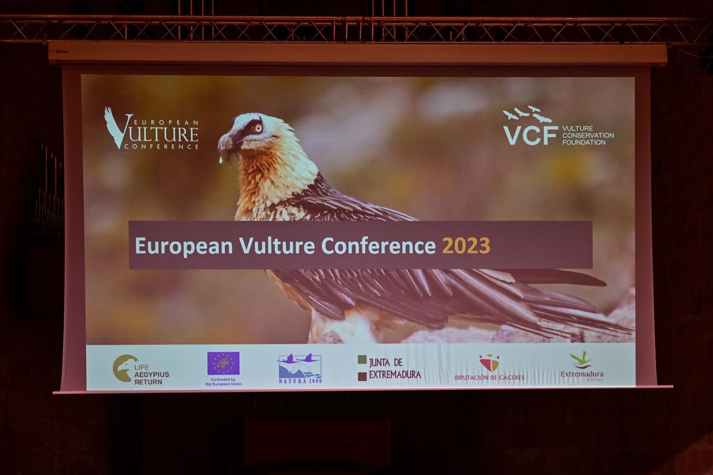 AMPOVIS représente le Maroc à la conférence européenne sur les vautours parmi 45 pays participants