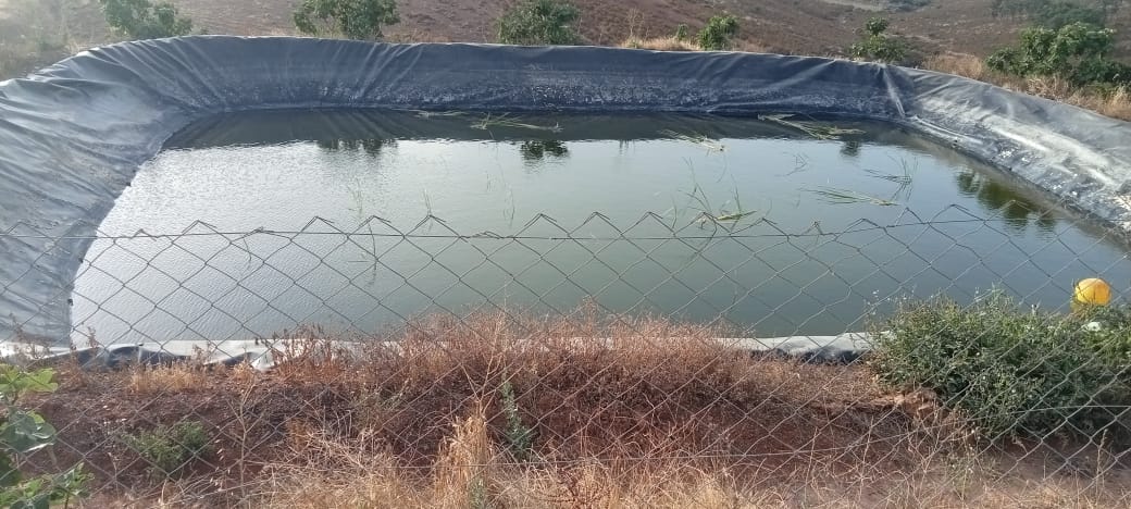 Danger des Bassins d’Irrigation pour le Vautour de Rüppell