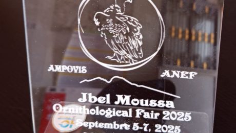 La Foire Ornithologique de Jbel Moussa 2025 : Un Succès Retentissant