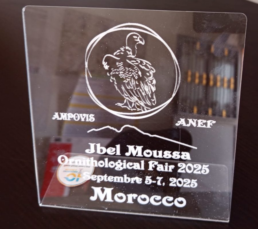 La Foire Ornithologique de Jbel Moussa 2025 : Un Succès Retentissant